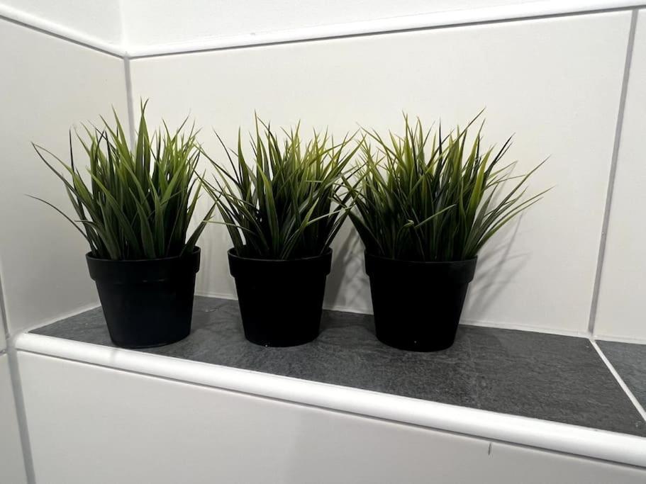 Apartment Zentrale & Flexible I Wilhelmshaven